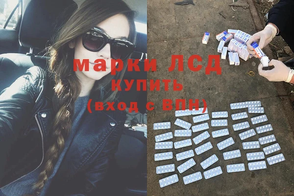 шишки Баксан