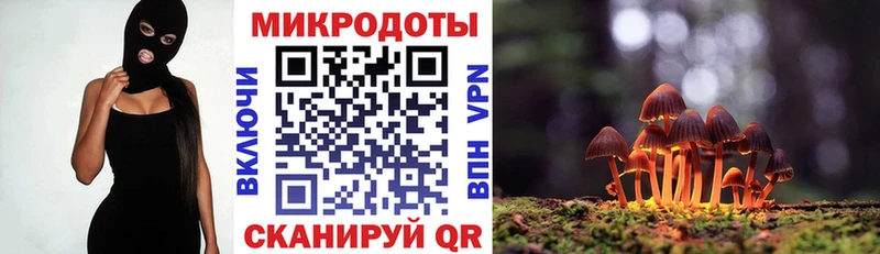 Псилоцибиновые грибы мицелий  наркота  Кочубеевское 